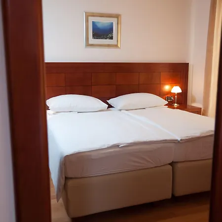 Agava * 마카르스카