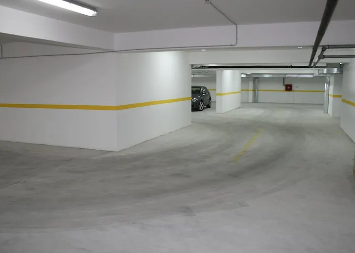 Agava 마카르스카