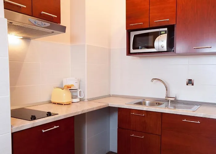 Agava 마카르스카